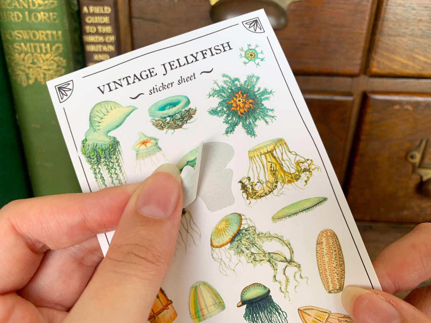 Vintage Jellyfish Sticker Sheet