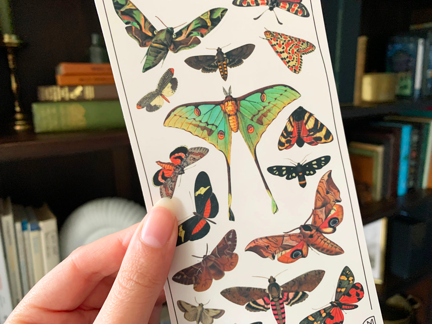 Vintage Moths Sticker Sheet