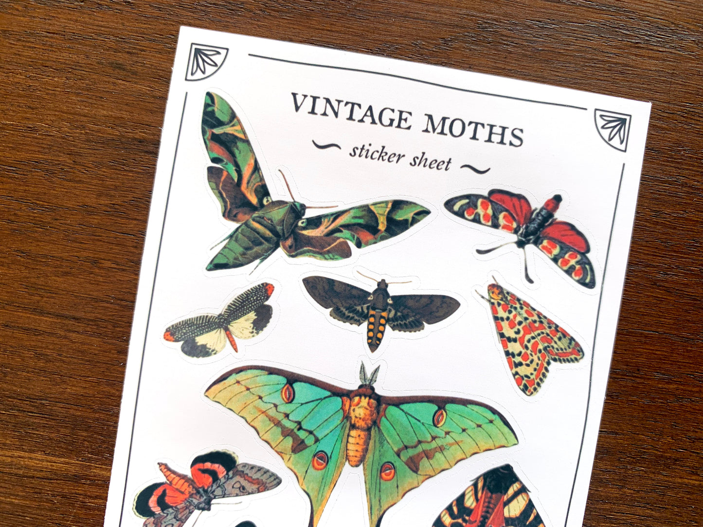 Vintage Moths Sticker Sheet