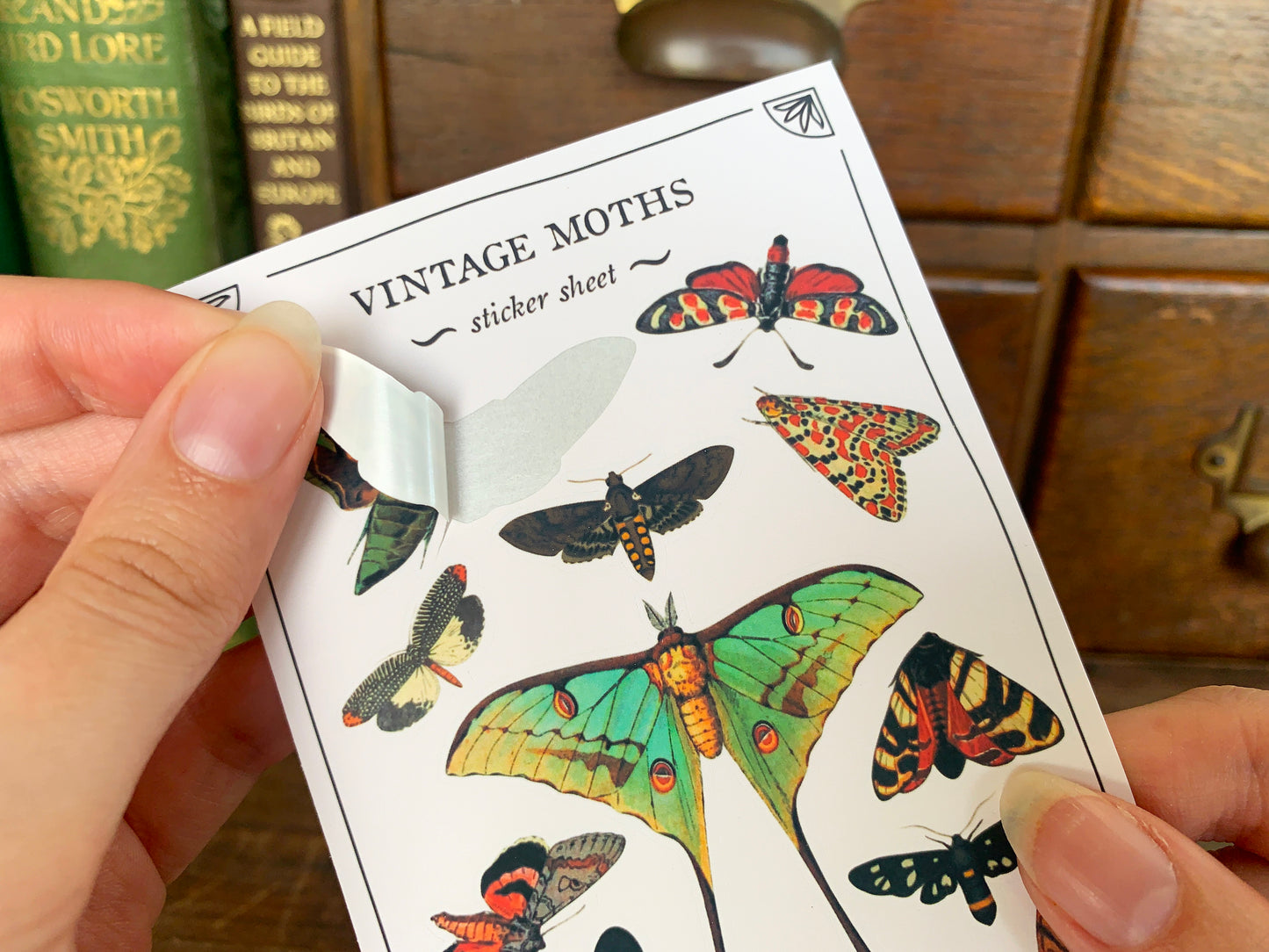 Vintage Moths Sticker Sheet