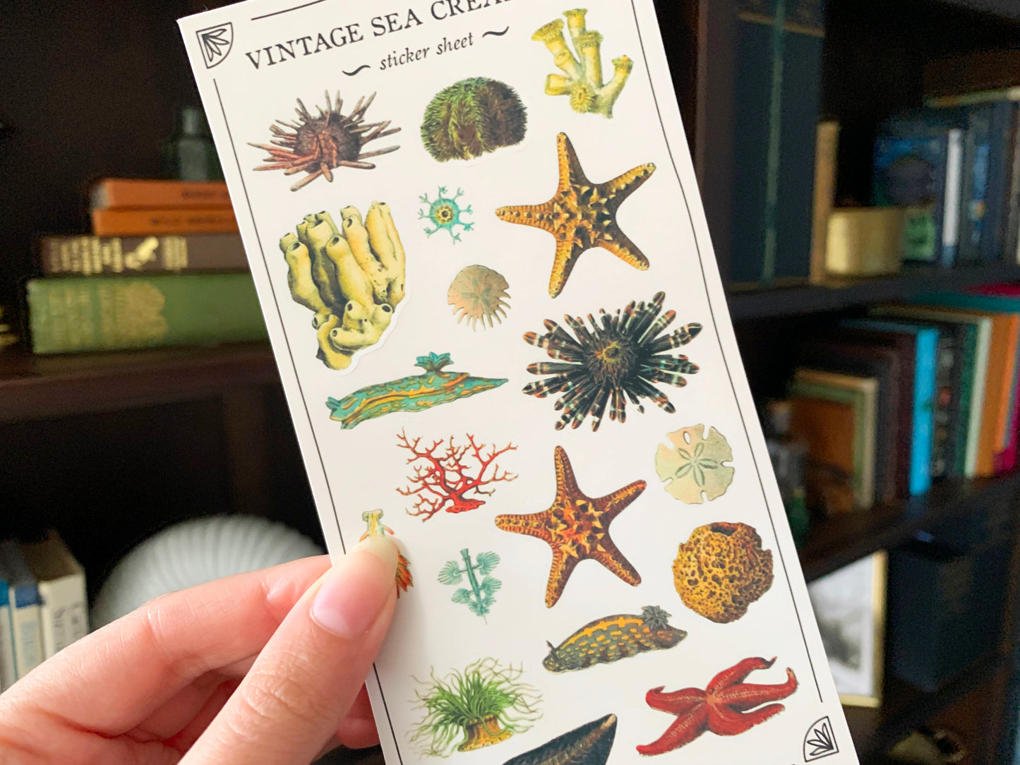 Vintage Sea Creatures Sticker Sheet