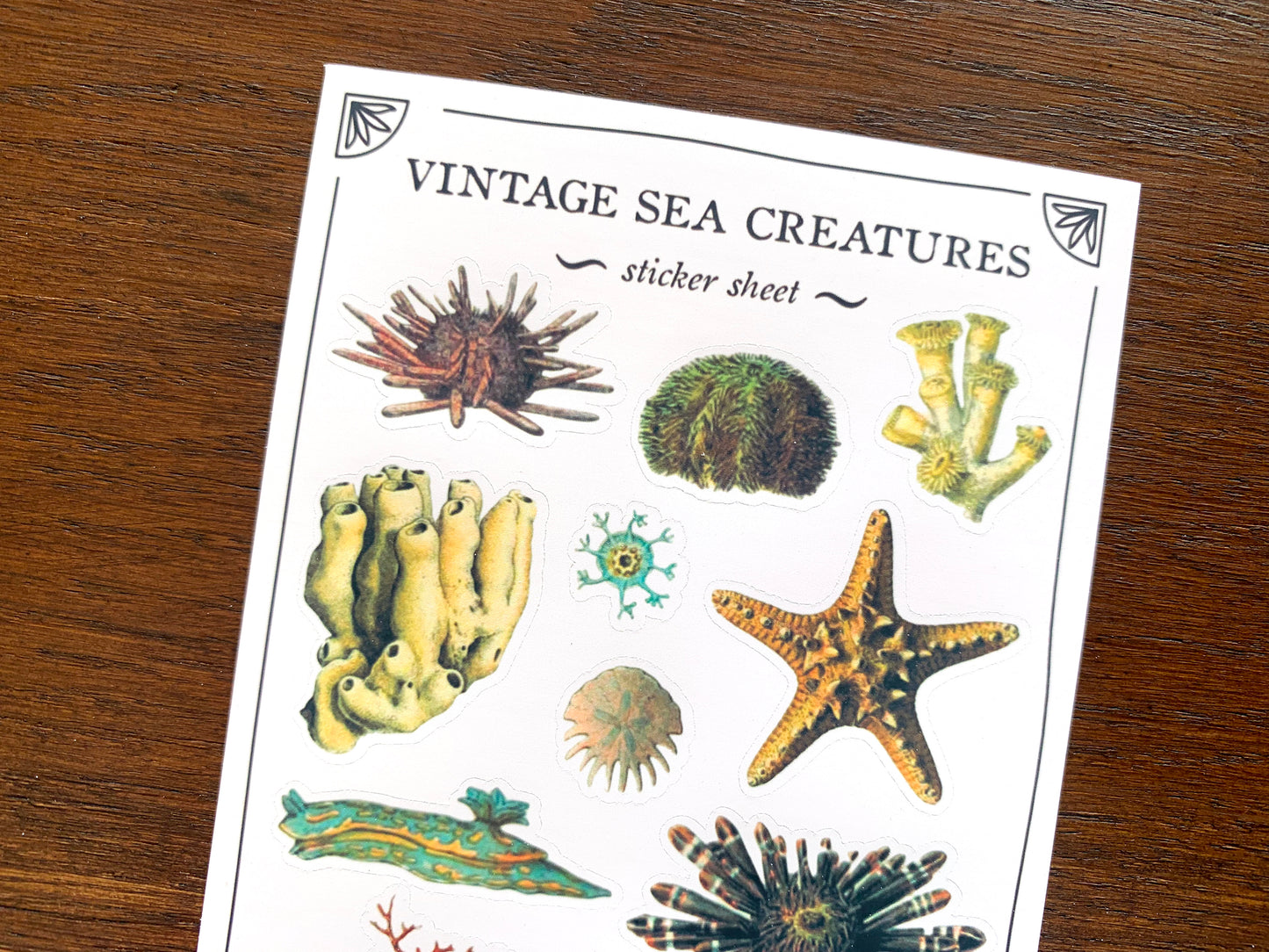 Vintage Sea Creatures Sticker Sheet
