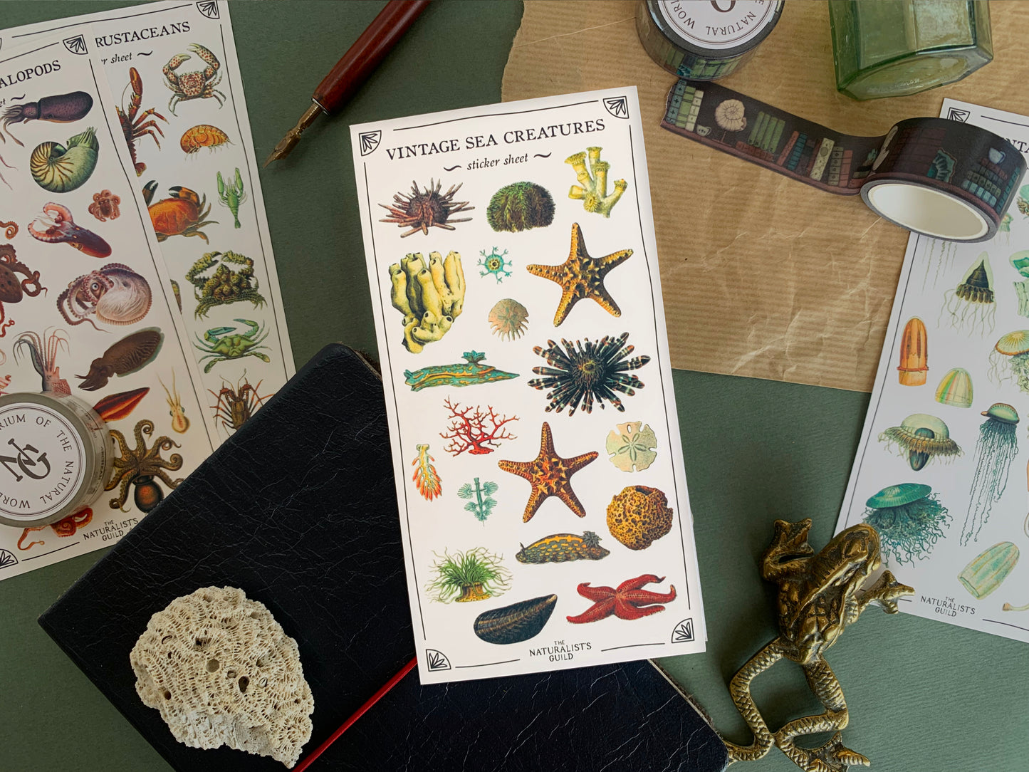 Vintage Sea Creatures Sticker Sheet