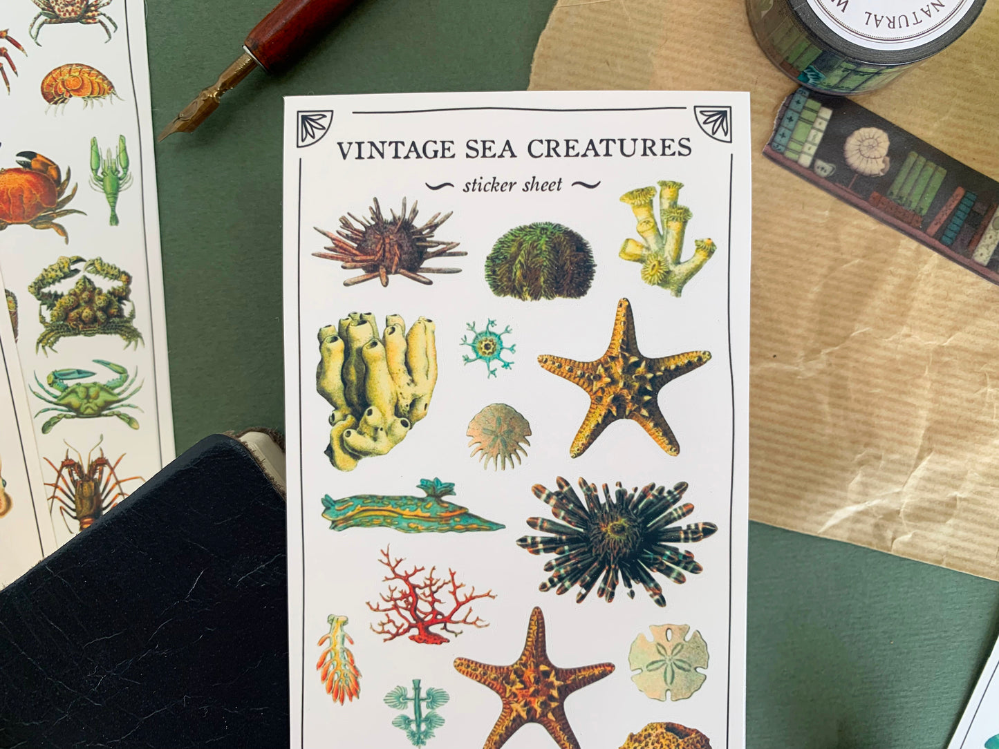 Vintage Sea Creatures Sticker Sheet