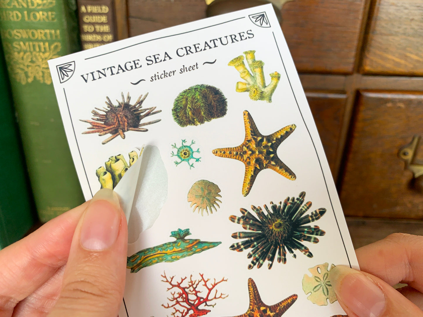 Vintage Sea Creatures Sticker Sheet
