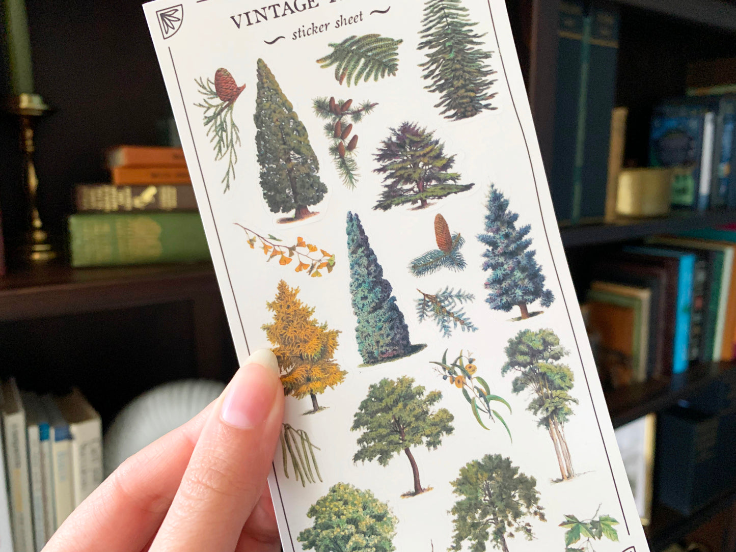 Vintage Trees II Sticker Sheet