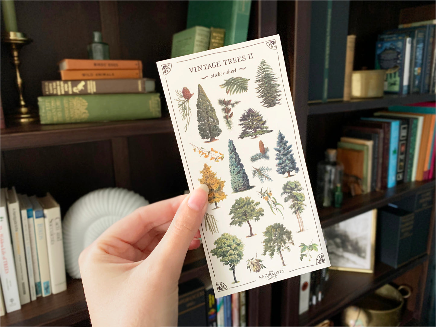 Vintage Trees II Sticker Sheet