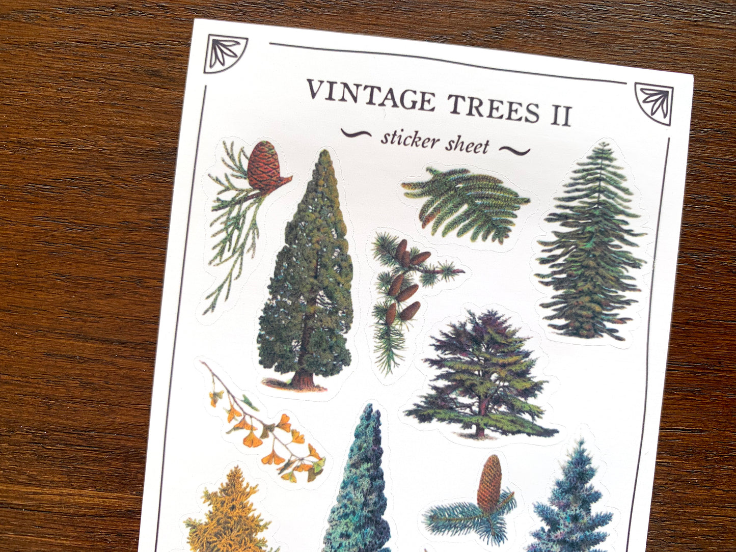 Vintage Trees II Sticker Sheet