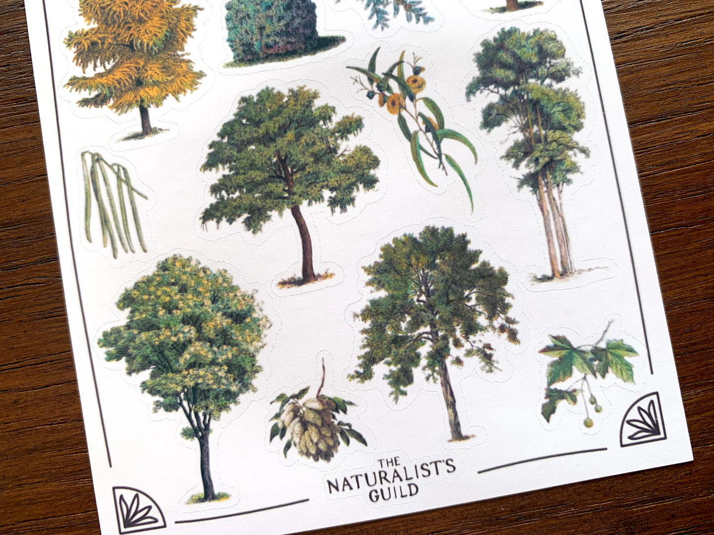 Vintage Trees II Sticker Sheet