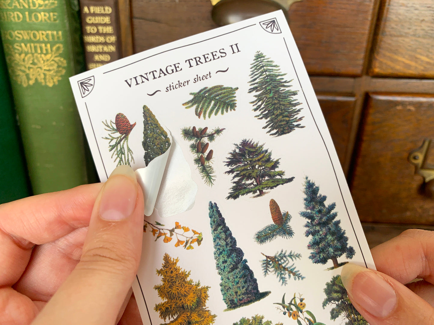 Vintage Trees II Sticker Sheet