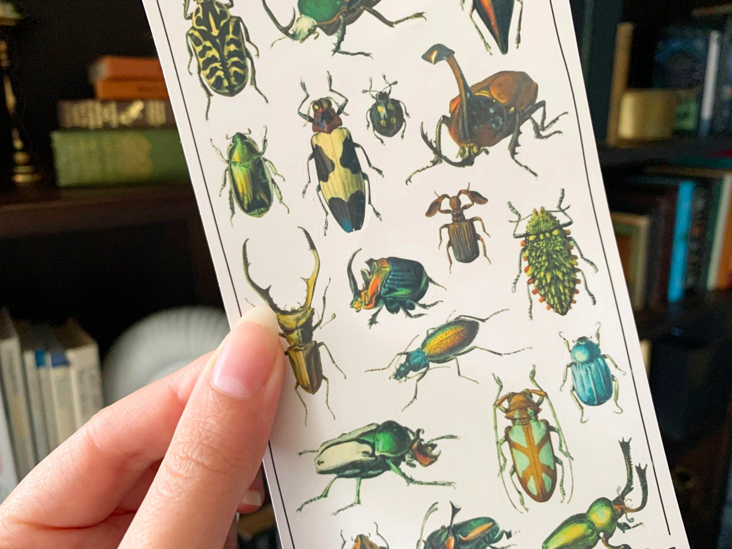 Vintage Beetles II Sticker Sheet