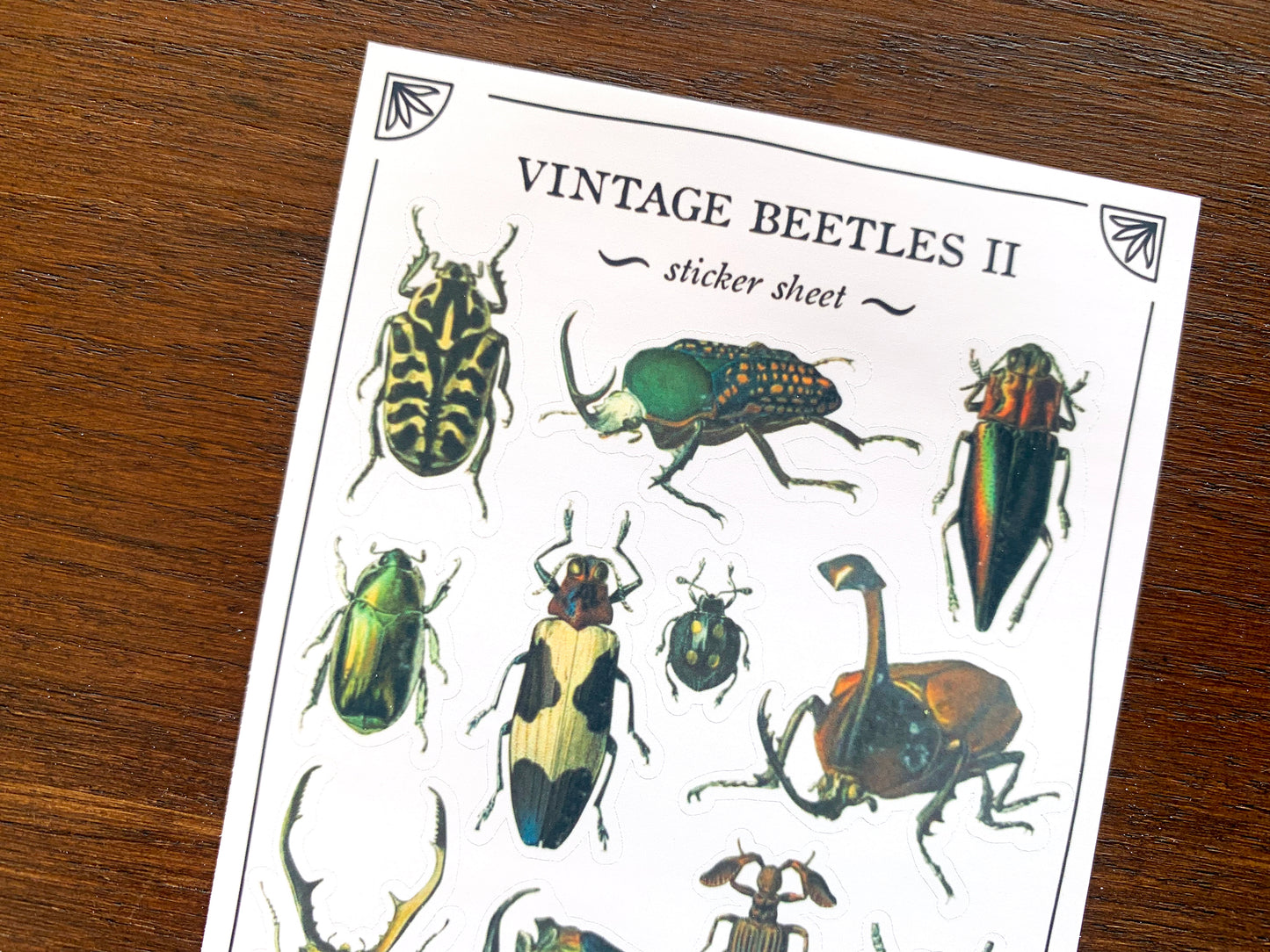 Vintage Beetles II Sticker Sheet