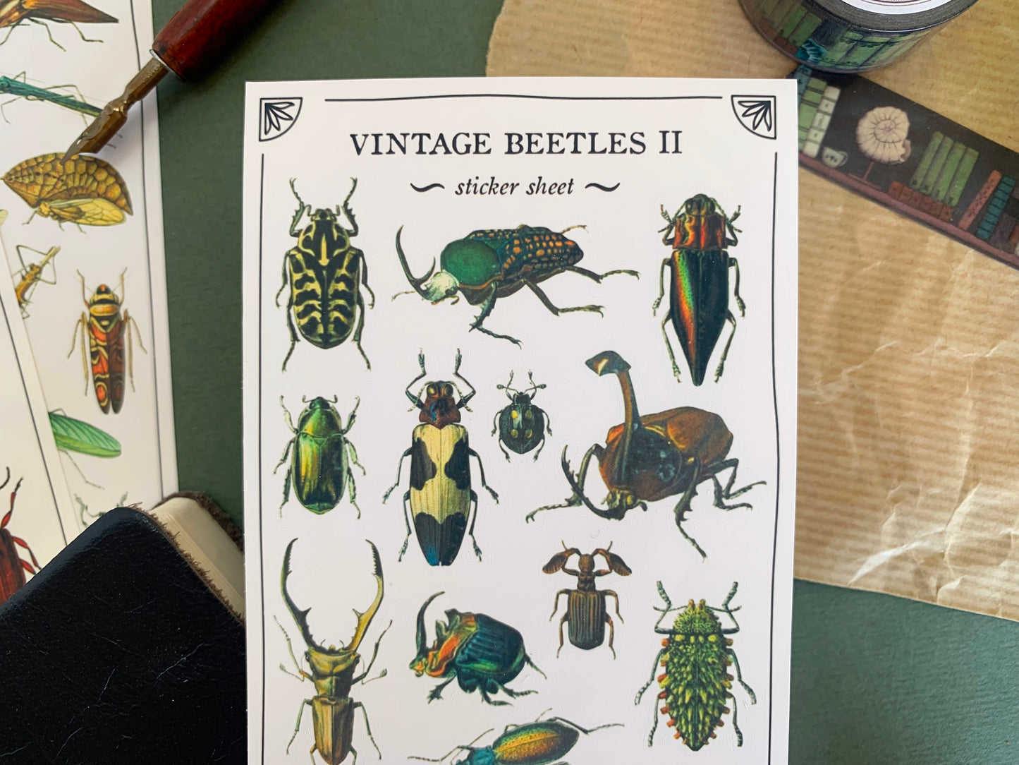 Vintage Beetles II Sticker Sheet