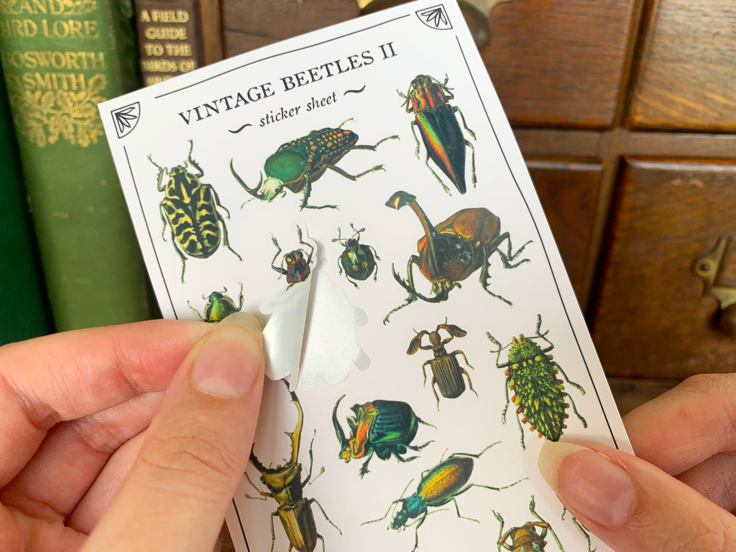 Vintage Beetles II Sticker Sheet