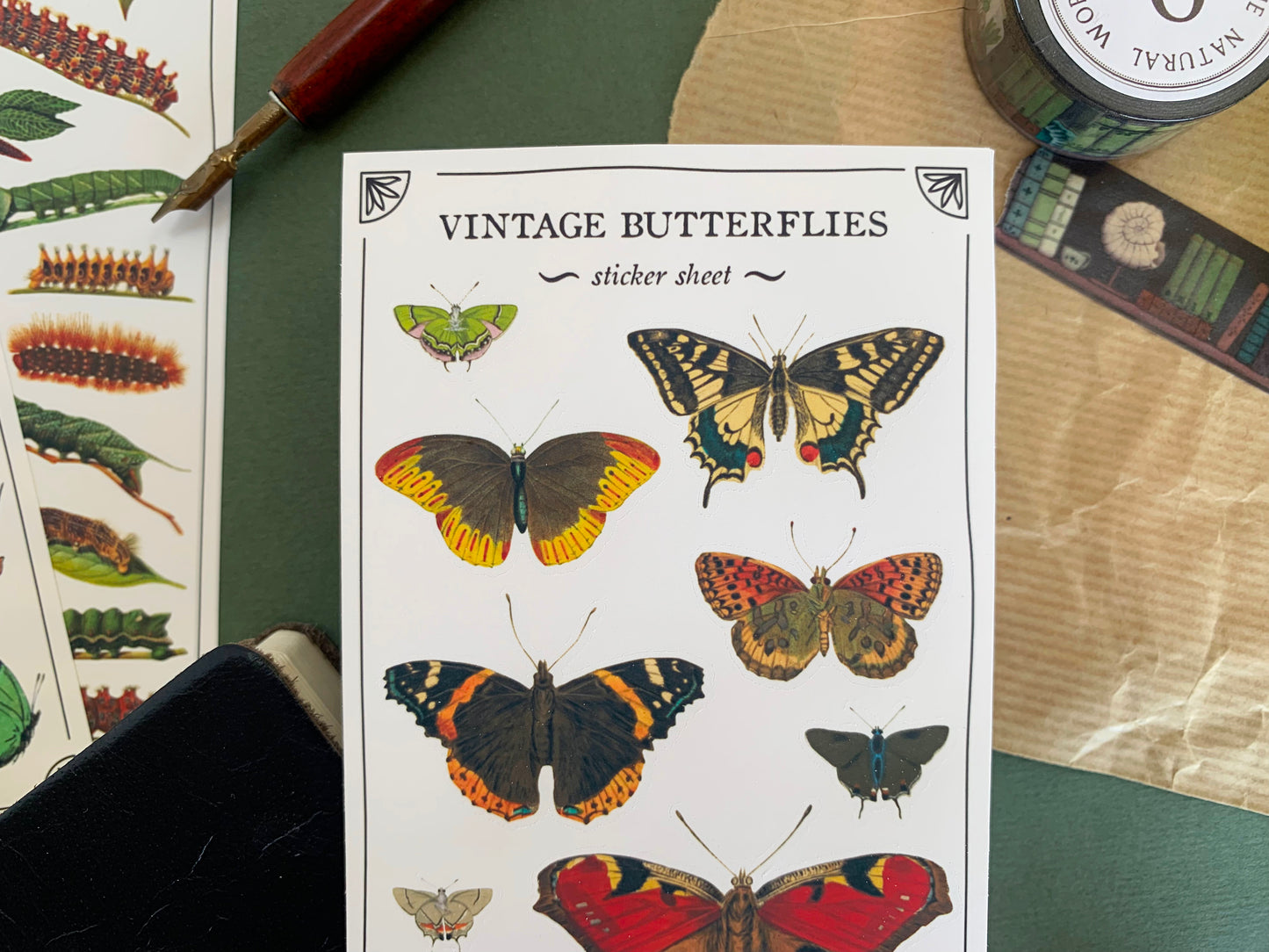Close up of a sticker sheet of butterfly species in a detailed and colourful vintage illustration style, with stationery in the background. The Naturalist's Guild.