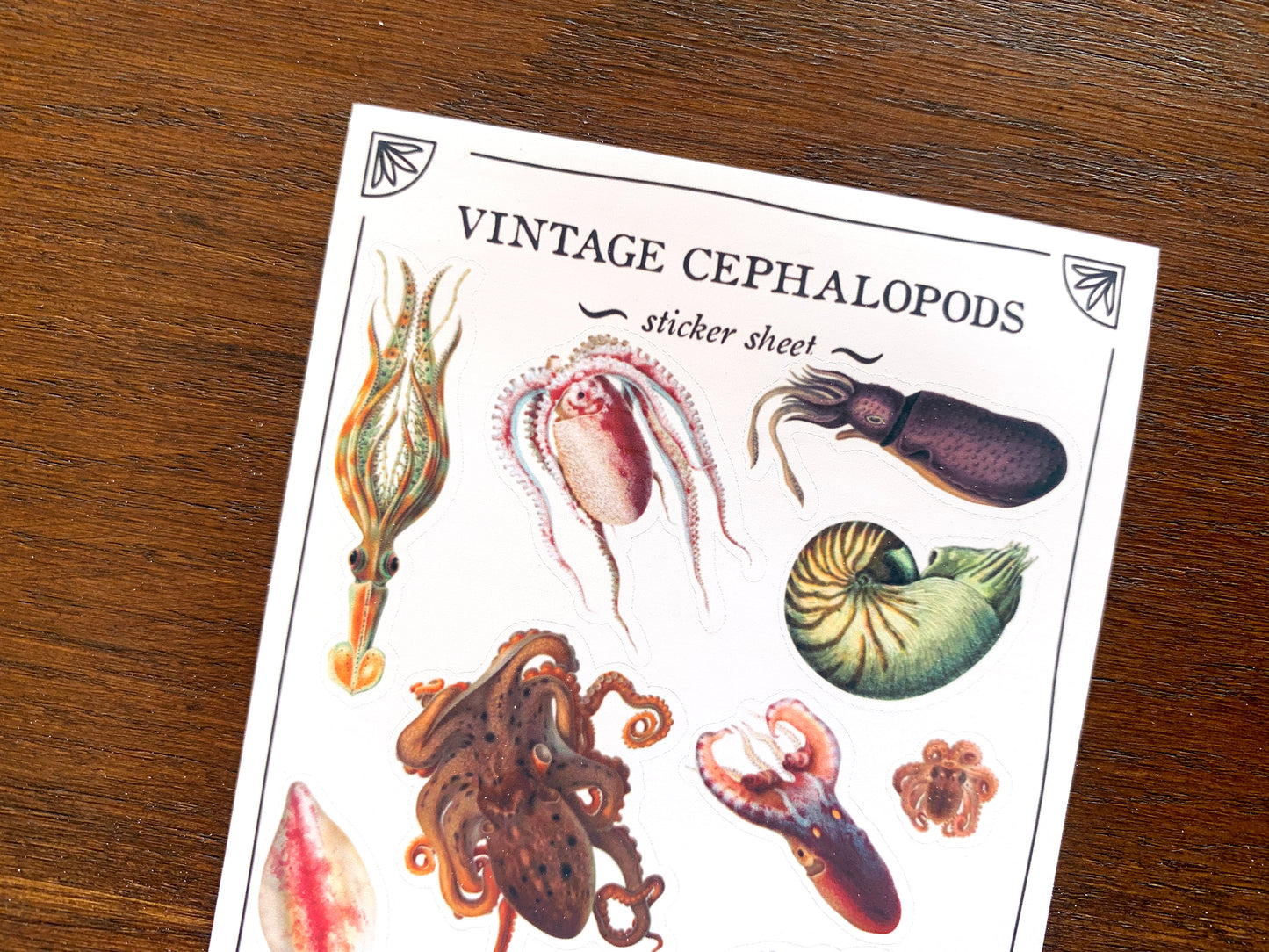Vintage Cephalopods Sticker Sheet