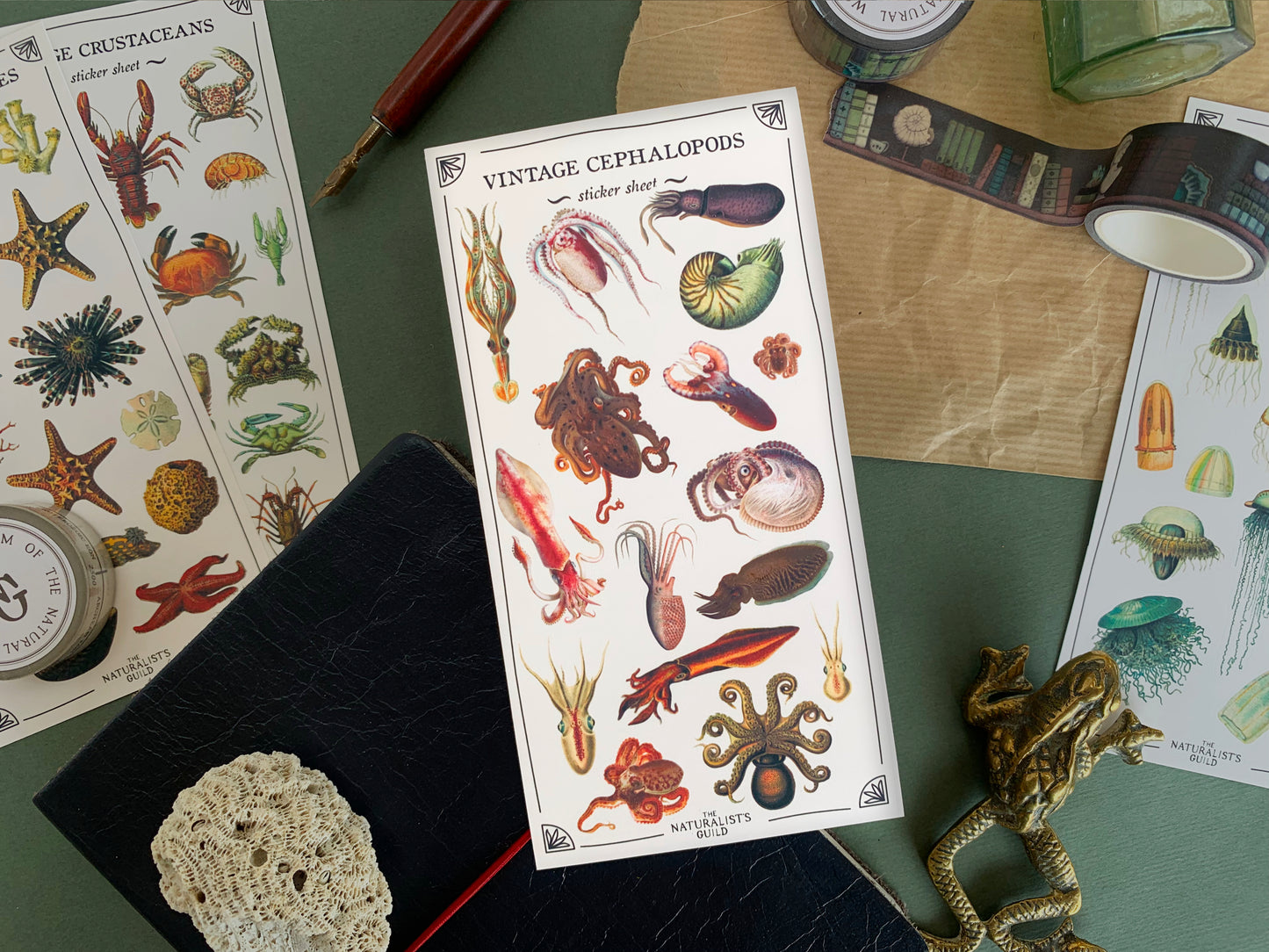 Vintage Cephalopods Sticker Sheet