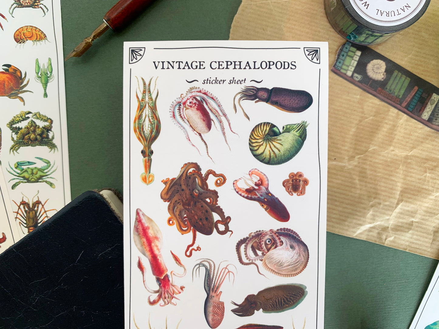 Vintage Cephalopods Sticker Sheet