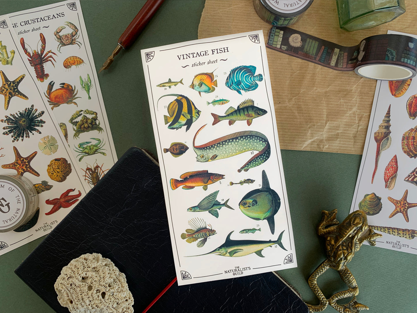 Sticker sheet of fish species in a detailed vintage illustration style, with stationery in the background. The Naturalist's Guild.