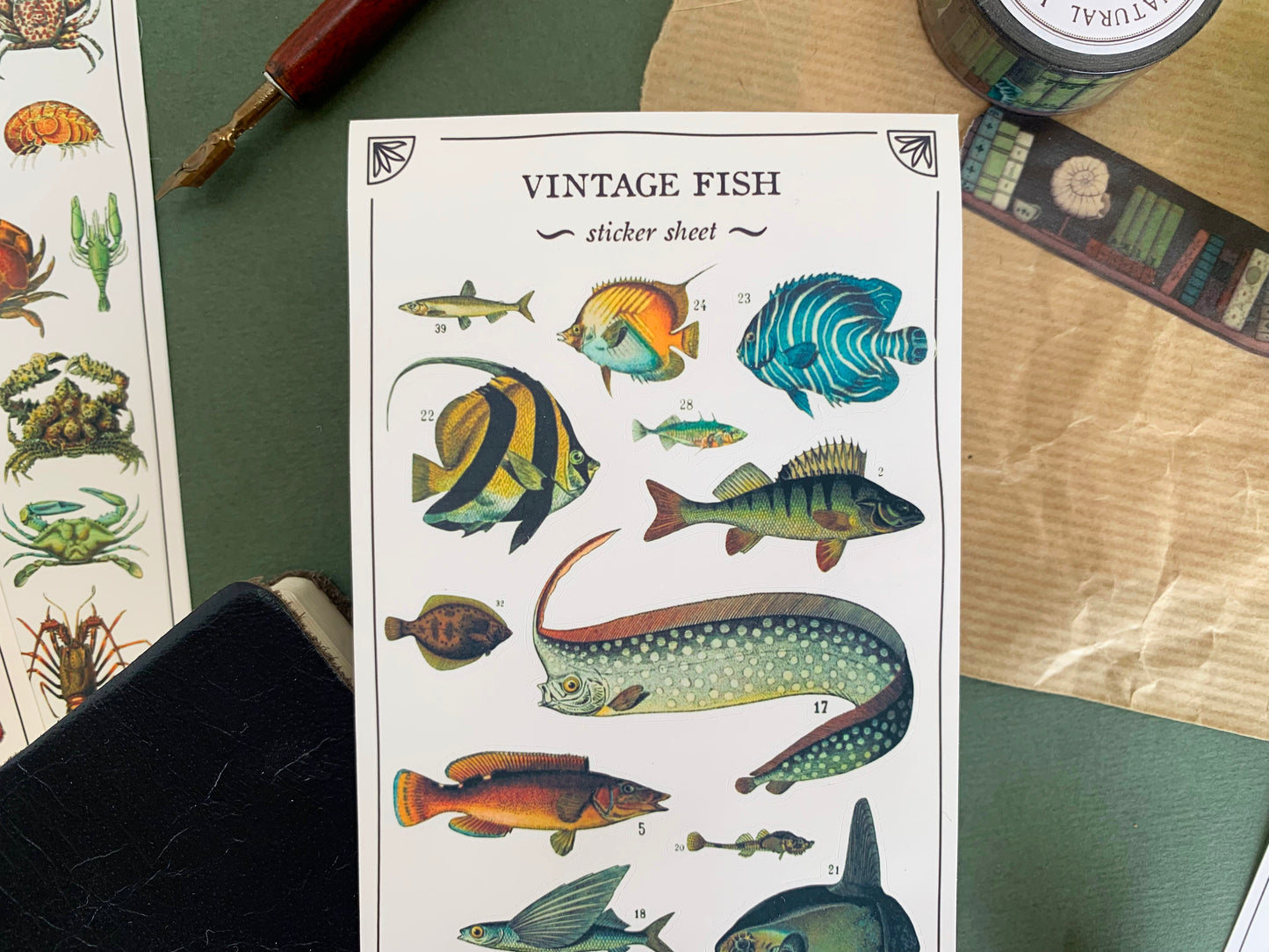 Close up of a sticker sheet of fish species in a detailed vintage illustration style, with stationery in the background. The Naturalist's Guild.