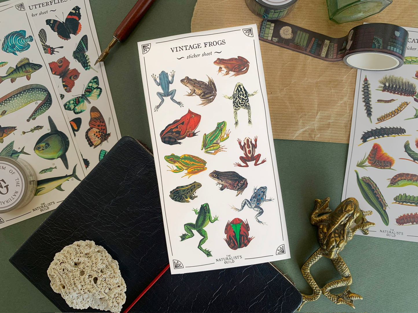 Sticker sheet of frog species in a detailed and colourful vintage illustration style, with stationery in the background. The Naturalist's Guild.