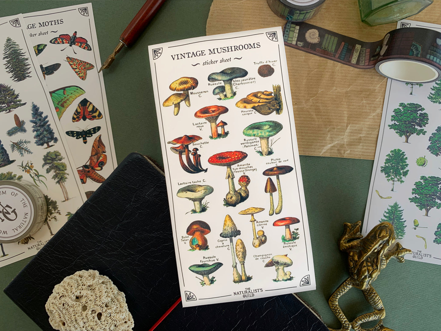 Sticker sheet of mushrooms in a detailed and colourful vintage illustration style, with stationery in the background. The Naturalist's Guild.