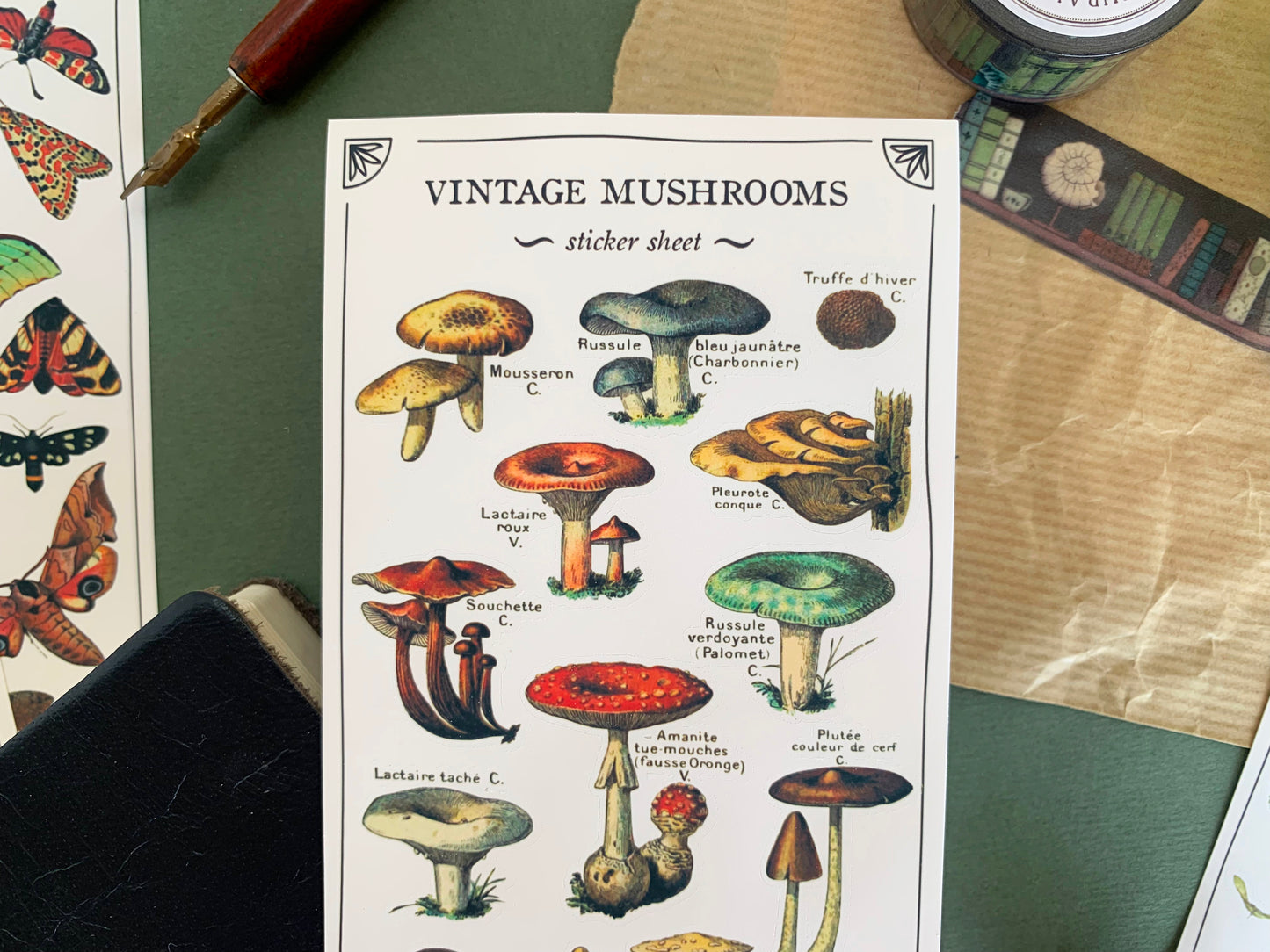 Close up of a sticker sheet of mushrooms in a detailed and colourful vintage illustration style, with stationery in the background. The Naturalist's Guild.