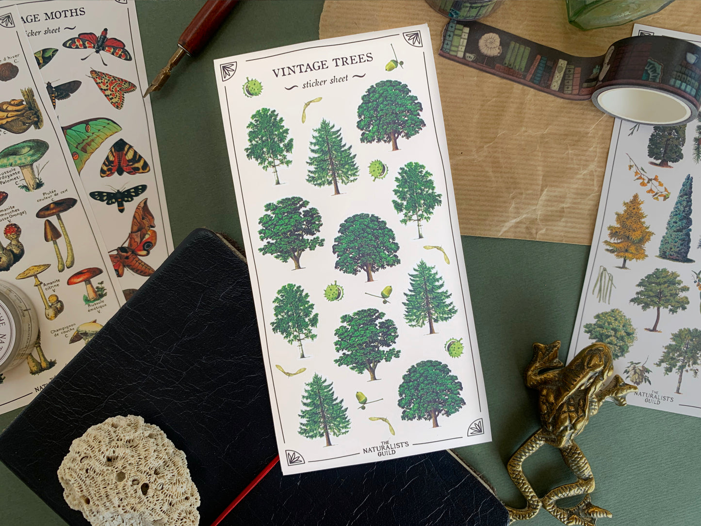 Sticker sheet of tree species in a detailed and colourful vintage illustration style, with stationery in the background. The Naturalist's Guild.