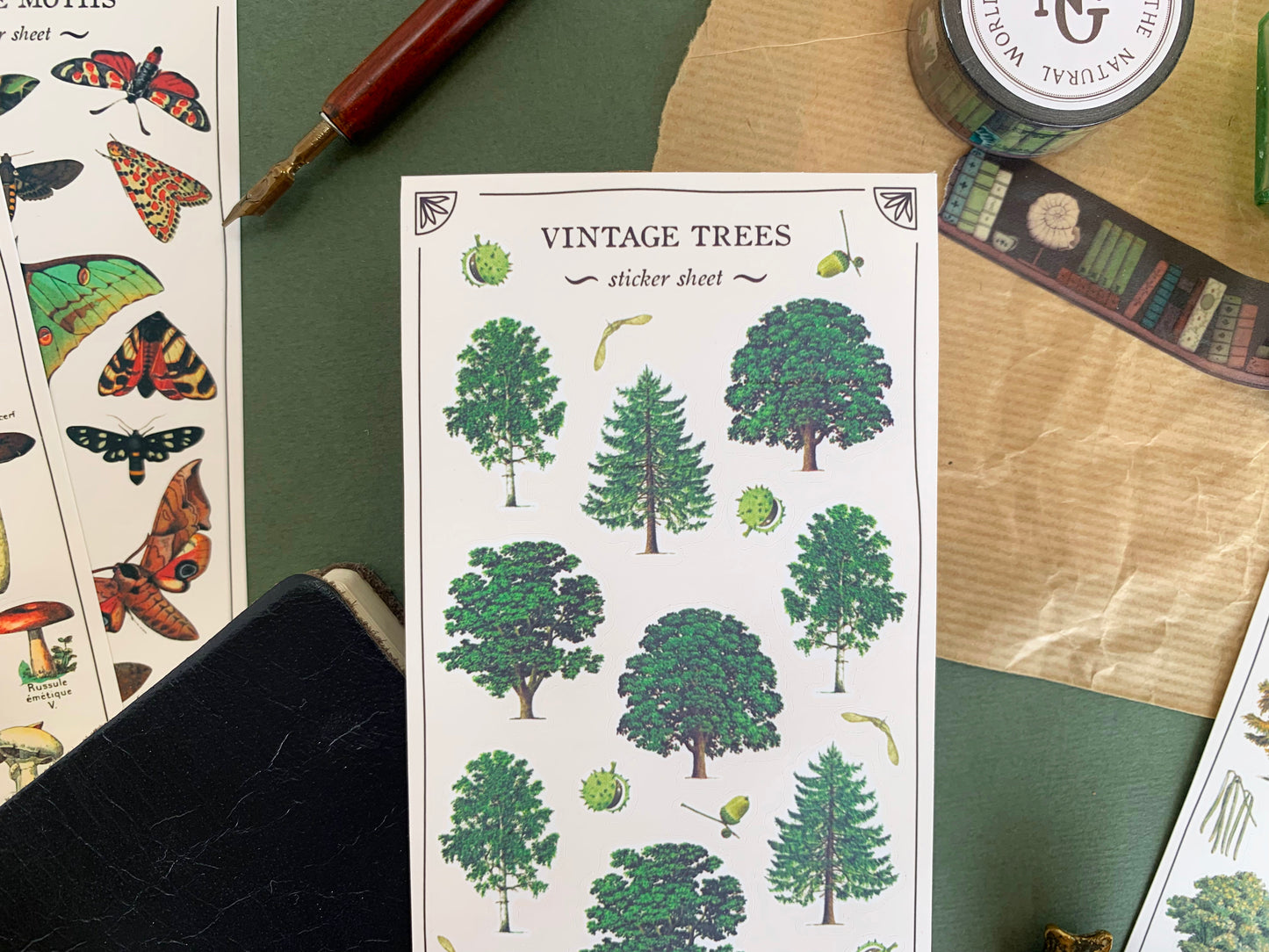 Close up of a sticker sheet of butterfly species in a detailed and colourful vintage illustration style, with stationery in the background. The Naturalist's Guild.
