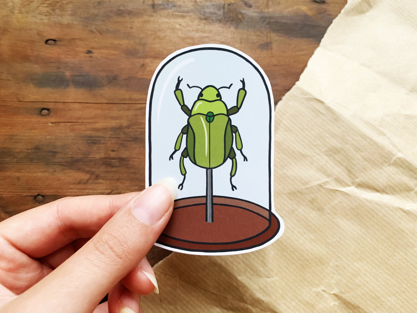Green Beetle Bell Jar Sticker, Natural History Lovers Entomology Gift, Cute Insect in a Specimen Jar Laptop Sticker, Small Nature Lover Gift