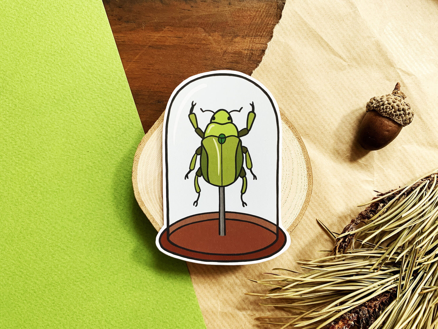 Green Beetle Bell Jar Sticker, Natural History Lovers Entomology Gift, Cute Insect in a Specimen Jar Laptop Sticker, Small Nature Lover Gift