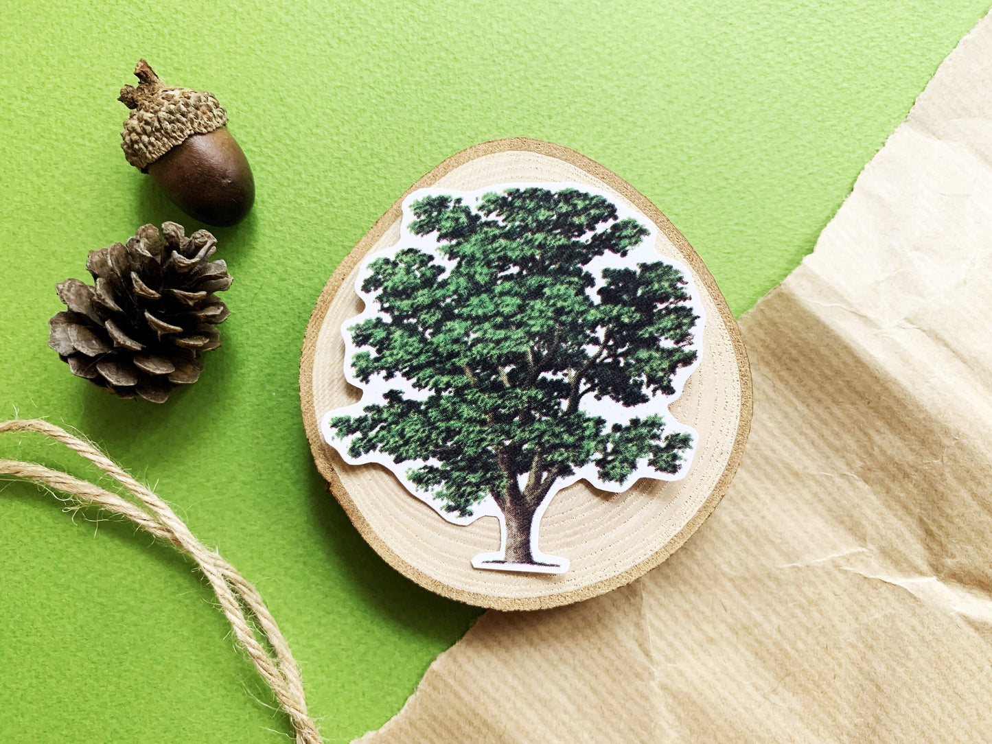 Vintage Walnut Tree Illustration Sticker, Old Aesthetic Painted Tree Decal, Small Gift for Outdoor Adventure Lovers, Hiker and Explorer Gift