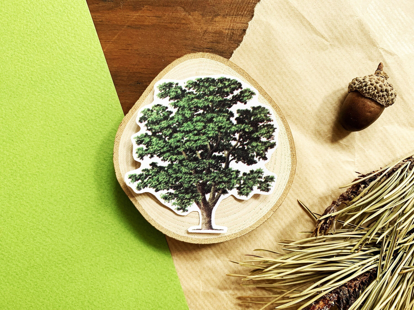 Vintage Walnut Tree Illustration Sticker, Old Aesthetic Painted Tree Decal, Small Gift for Outdoor Adventure Lovers, Hiker and Explorer Gift