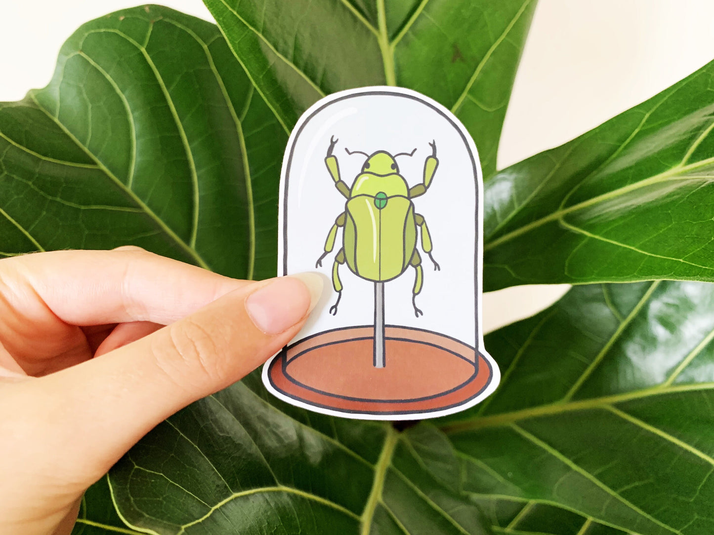 Green Beetle Bell Jar Sticker, Natural History Lovers Entomology Gift, Cute Insect in a Specimen Jar Laptop Sticker, Small Nature Lover Gift
