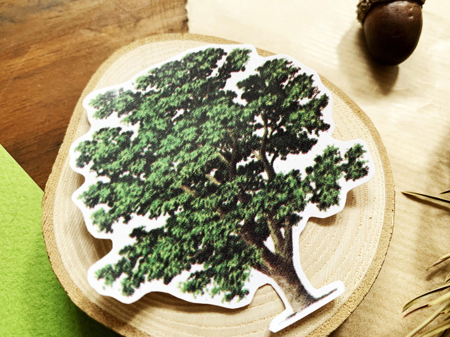 Vintage Walnut Tree Illustration Sticker, Old Aesthetic Painted Tree Decal, Small Gift for Outdoor Adventure Lovers, Hiker and Explorer Gift