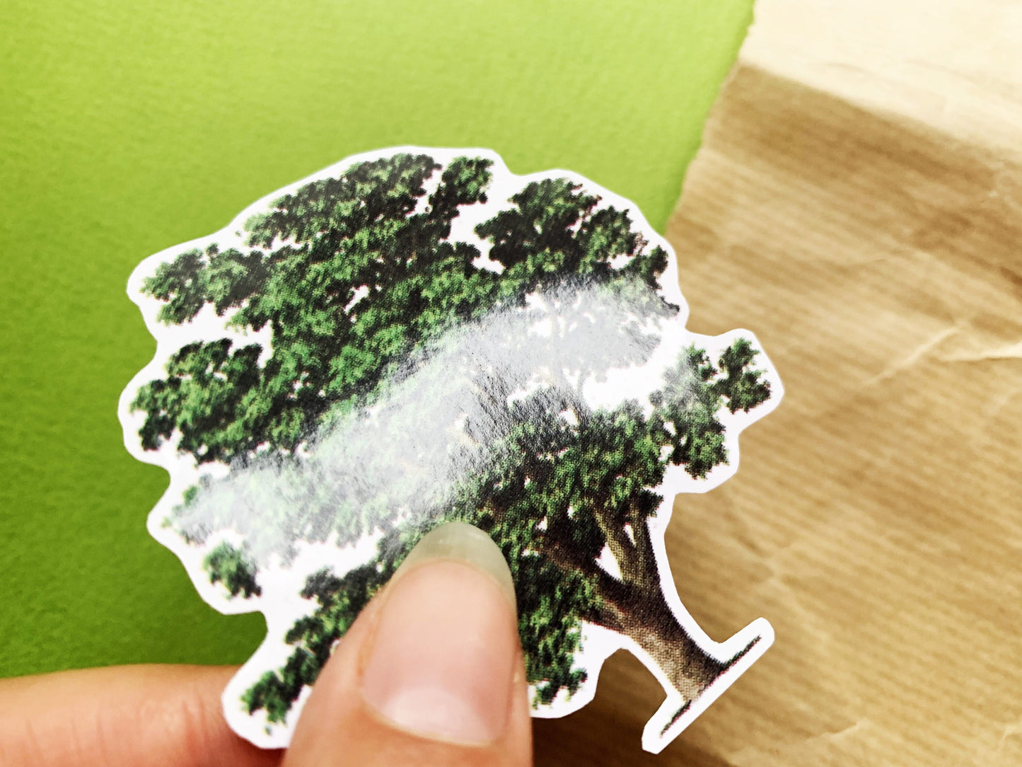 Vintage Walnut Tree Illustration Sticker, Old Aesthetic Painted Tree Decal, Small Gift for Outdoor Adventure Lovers, Hiker and Explorer Gift