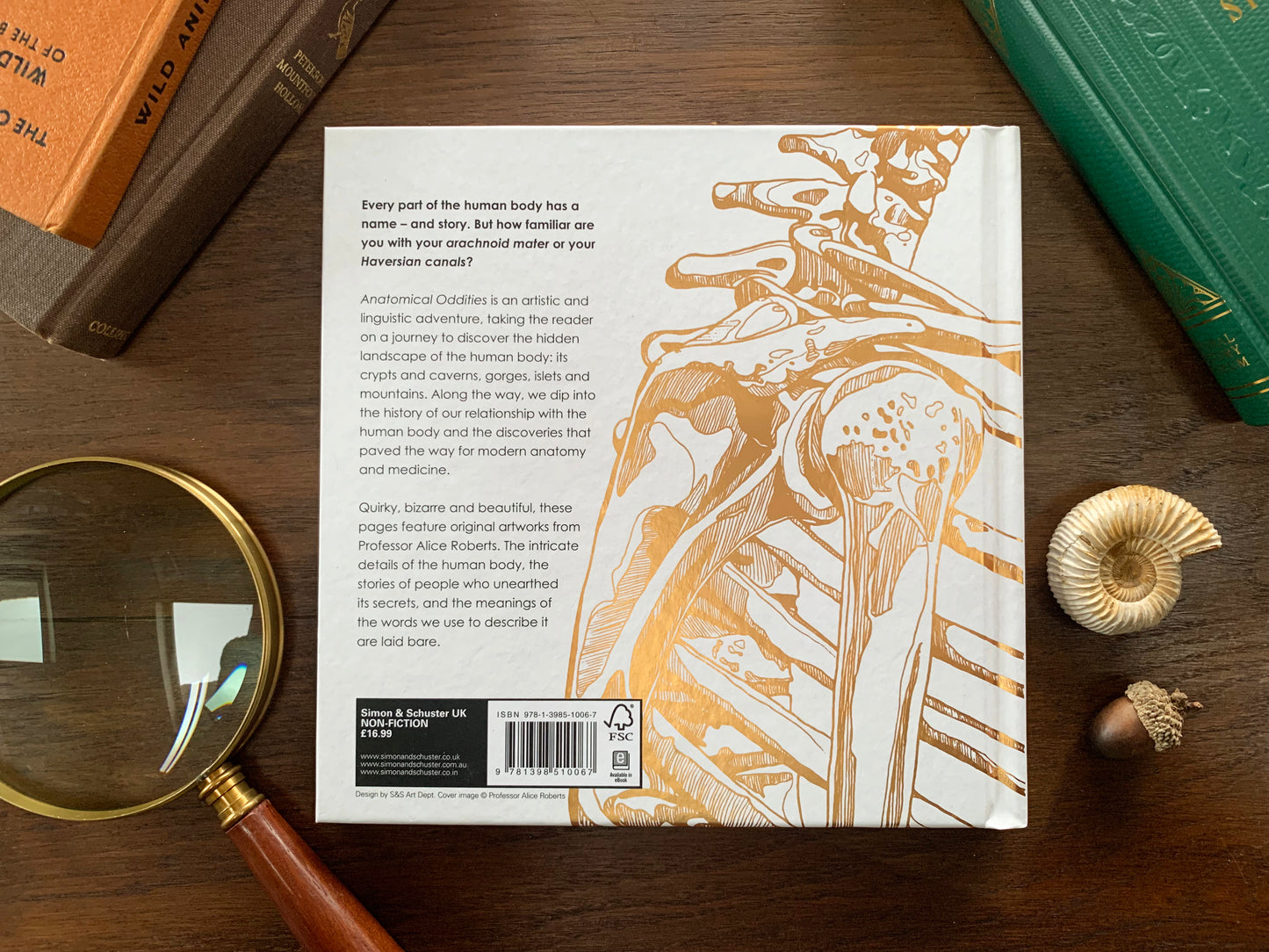 Anatomical Oddities by Alice Roberts