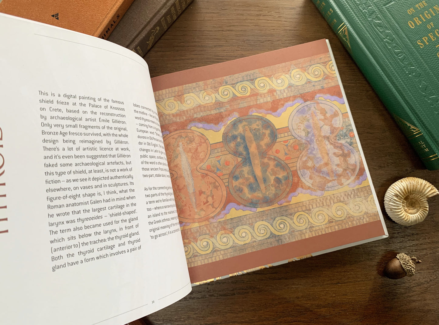 Anatomical Oddities by Alice Roberts