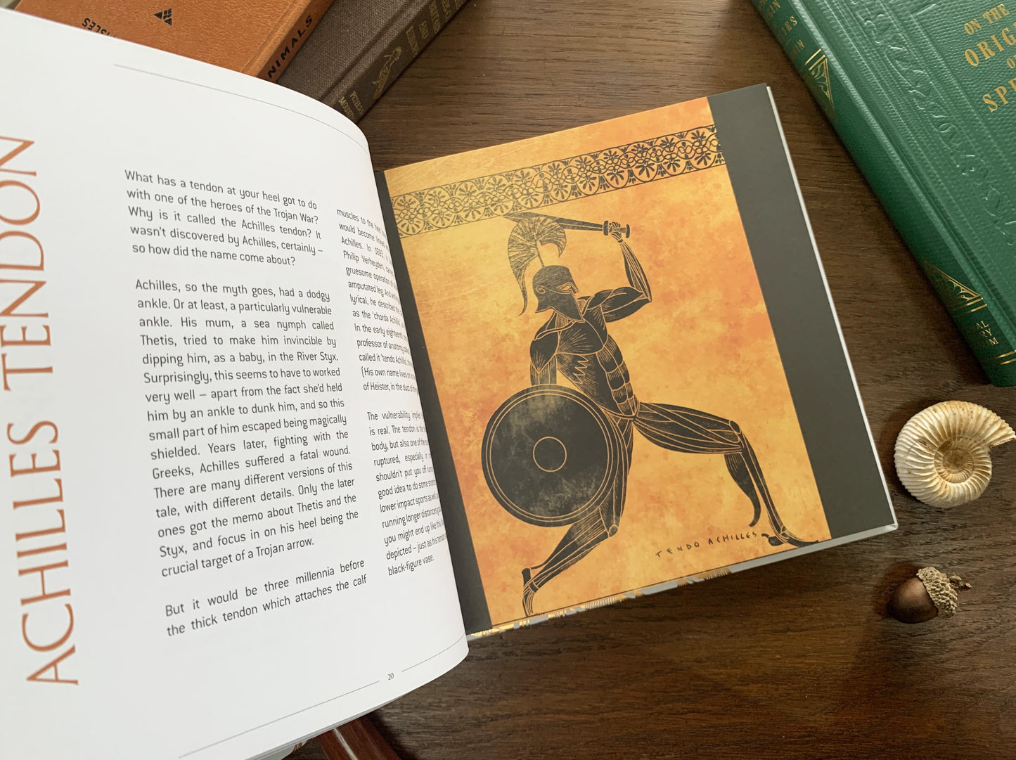 Anatomical Oddities by Alice Roberts