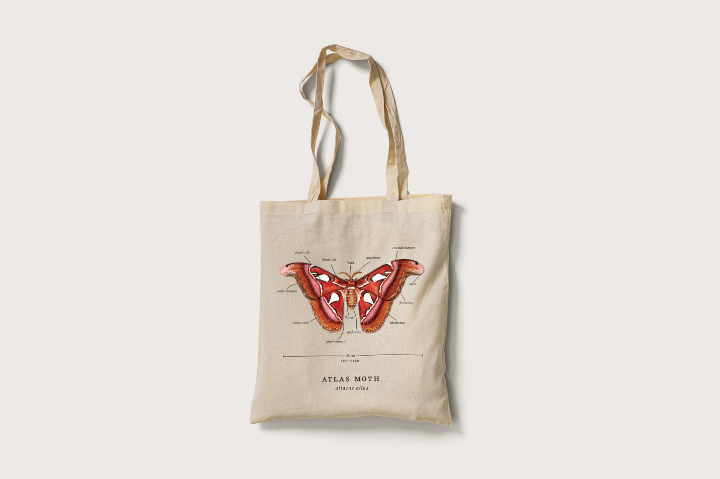 Atlas Moth Tote Bag