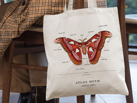 Atlas Moth Tote Bag