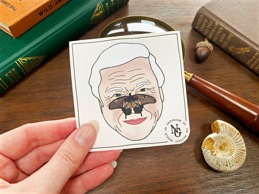 David Attenborough Butterfly Sticker