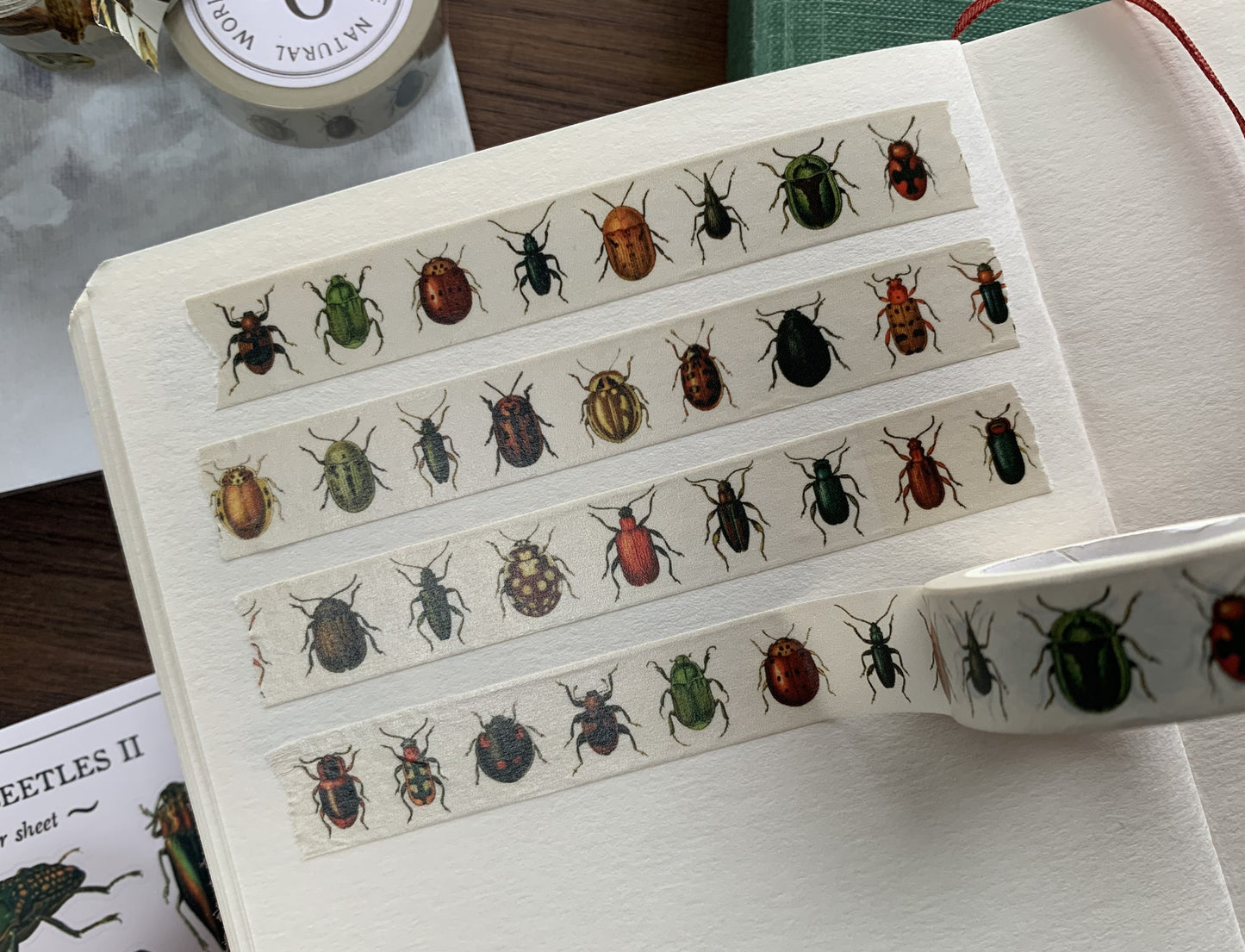 Beetles Washi Tape