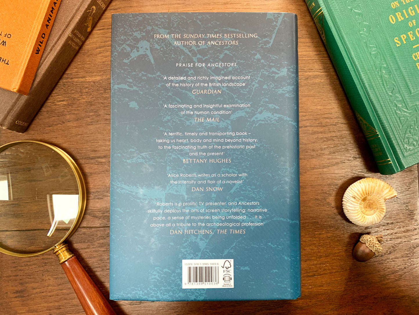 Buried by Alice Roberts