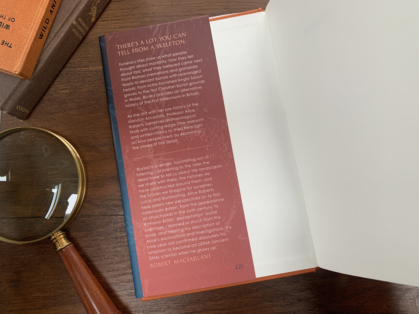 Buried by Alice Roberts