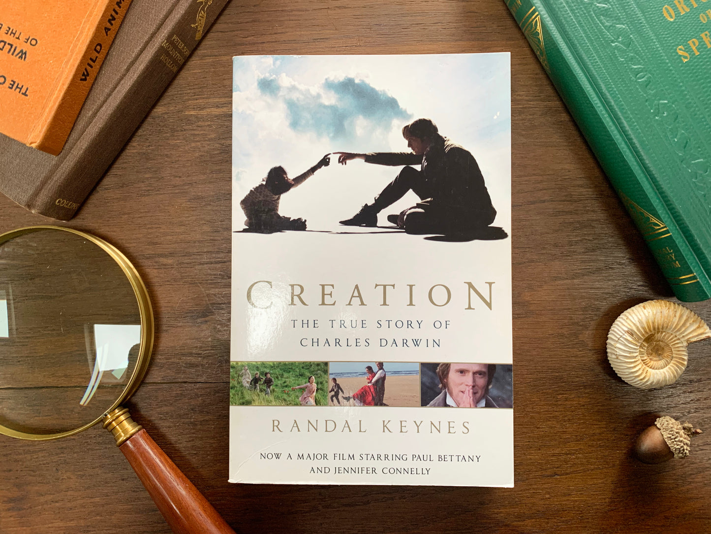 Creation: The True Story of Charles Darwin by Randal Keynes