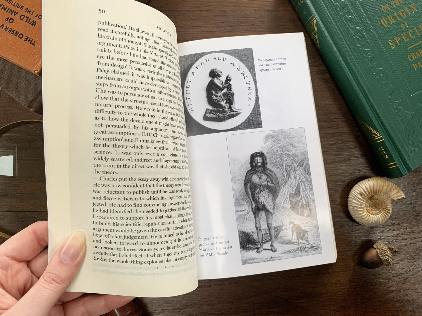 Creation: The True Story of Charles Darwin by Randal Keynes