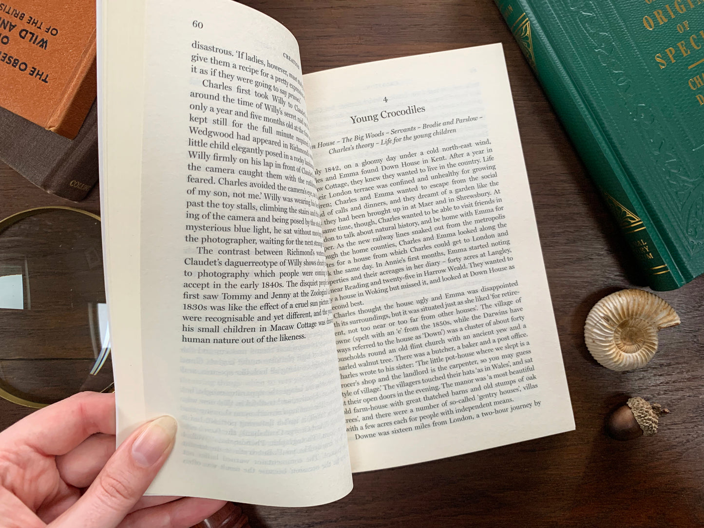 Creation: The True Story of Charles Darwin by Randal Keynes