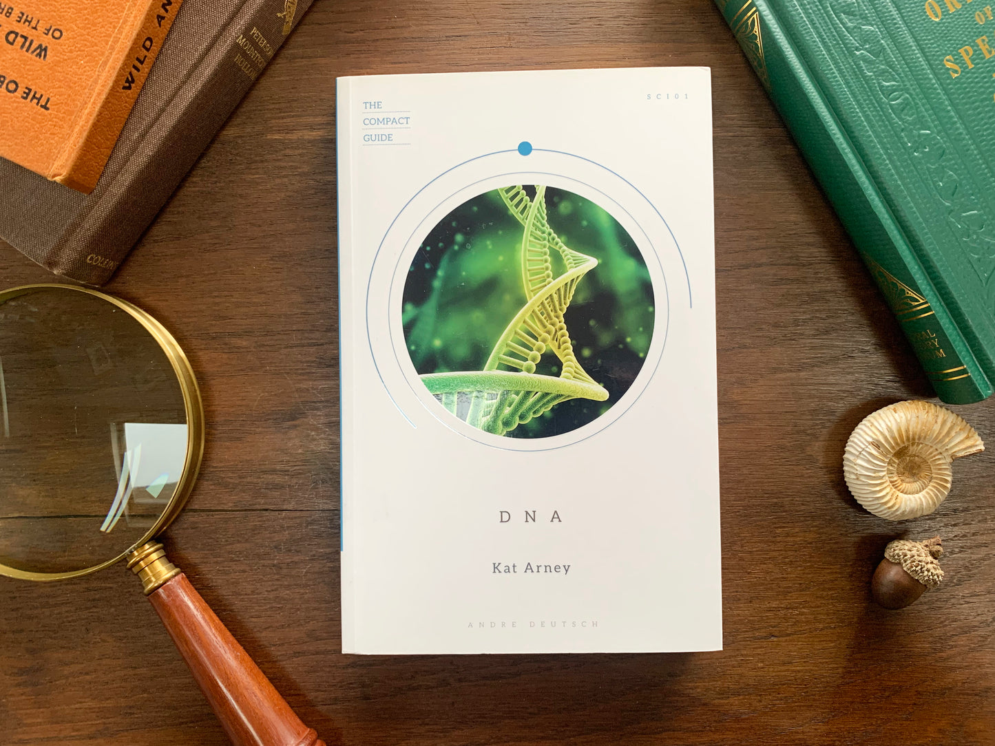 DNA: The Compact Guide by Kat Arney