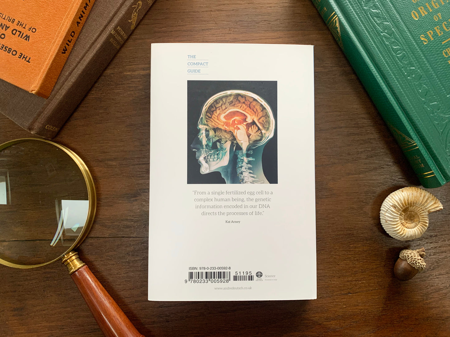 DNA: The Compact Guide by Kat Arney